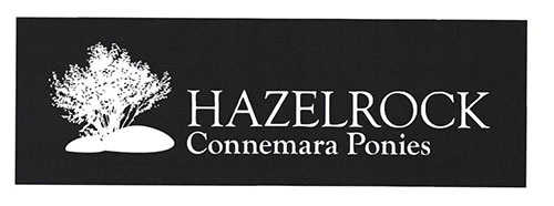Tweseldown sponsor – Hazelrock